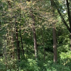 Meet your Posher, Chloe